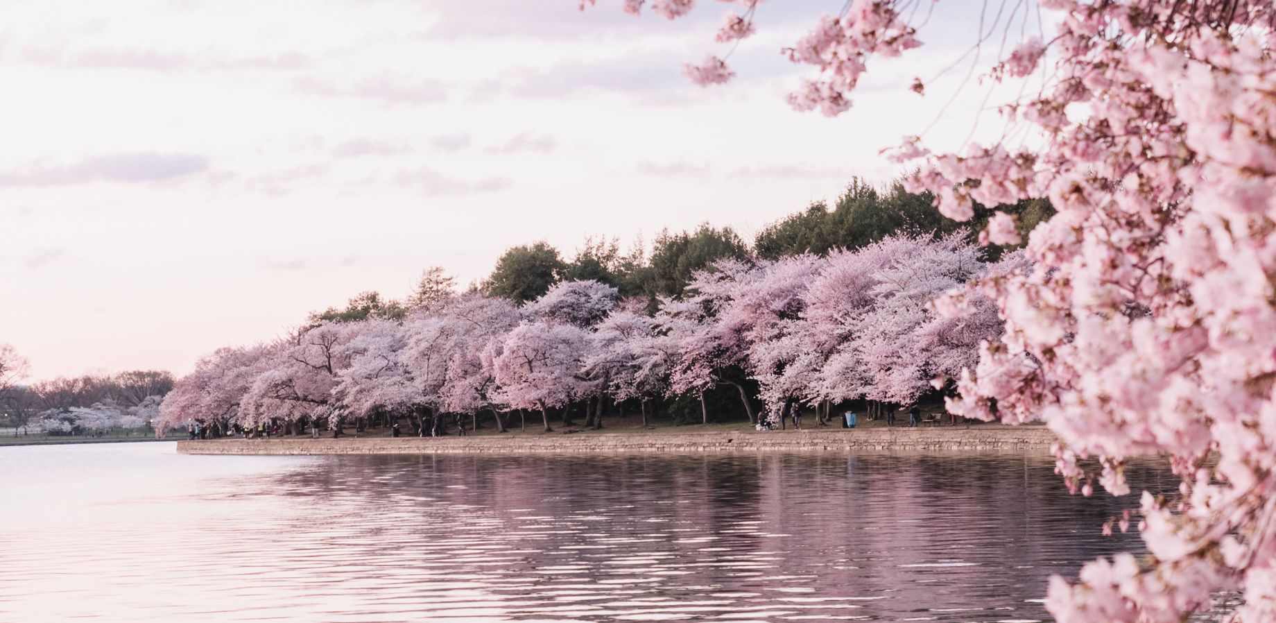 It's Spring & Allergy Season Again - Volume 13, Number 2